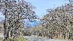 takano2-20250424084031.jpg