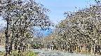 takano2-20250424090030.jpg
