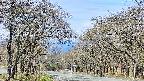 takano2-20250424091032.jpg