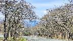 takano2-20250424092030.jpg