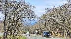 takano2-20250424095030.jpg