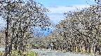 takano2-20250424100030.jpg
