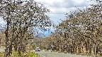 takano2-20250424104031.jpg
