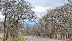 takano2-20250424113032.jpg