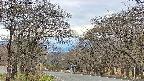 takano2-20250424114029.jpg