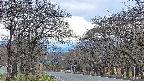 takano2-20250424120032.jpg