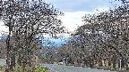 takano2-20250424121030.jpg