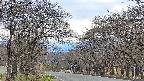 takano2-20250424124030.jpg