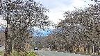 takano2-20250424125030.jpg