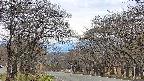 takano2-20250424130028.jpg