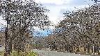 takano2-20250424131030.jpg