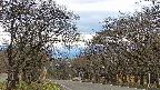 takano2-20250424135033.jpg