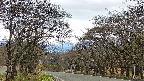 takano2-20250424141031.jpg