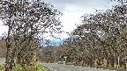 takano2-20250424142030.jpg