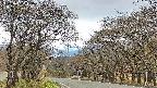 takano2-20250424143031.jpg