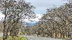 takano2-20250424150032.jpg