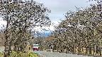 takano2-20250424151030.jpg