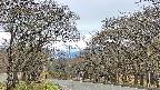 takano2-20250424152030.jpg
