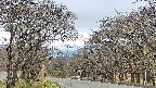 takano2-20250424153031.jpg