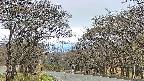 takano2-20250424154031.jpg