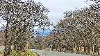 takano2-20250424161031.jpg