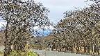takano2-20250424163028.jpg