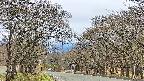 takano2-20250424165031.jpg