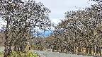takano2-20250424172031.jpg