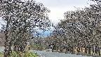 takano2-20250424174030.jpg