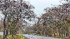 takano2-20250425050030.jpg