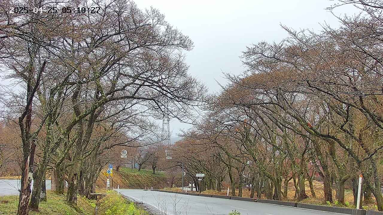 takano2-20250425051029.jpg