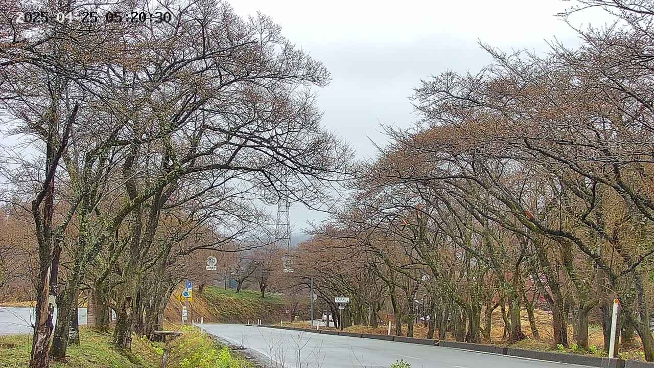 takano2-20250425052031.jpg