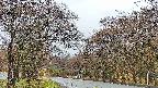 takano2-20250425053031.jpg