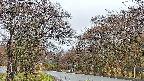takano2-20250425054030.jpg