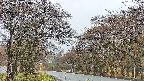 takano2-20250425060030.jpg