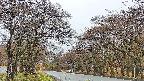 takano2-20250425062030.jpg
