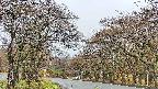 takano2-20250425065030.jpg