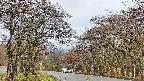takano2-20250425072030.jpg