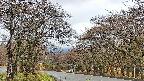 takano2-20250425073031.jpg
