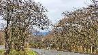 takano2-20250425082030.jpg