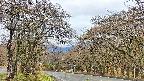 takano2-20250425083031.jpg