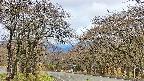 takano2-20250425090030.jpg