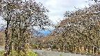 takano2-20250425091029.jpg