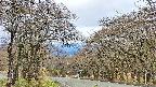 takano2-20250425092031.jpg