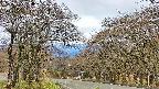 takano2-20250425094030.jpg
