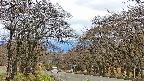 takano2-20250425095029.jpg