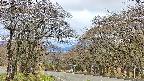 takano2-20250425102030.jpg