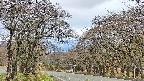 takano2-20250425103031.jpg