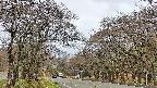 takano2-20250425104029.jpg