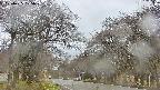 takano2-20250425105029.jpg